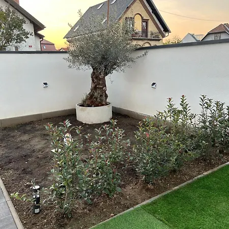 Apartamento Casa Box Free Garage *