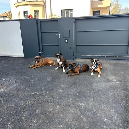 Casa Box Free Garage