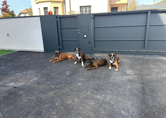 Casa Box Free Garage